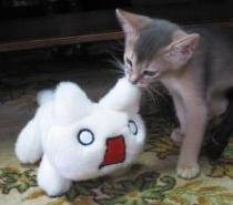 File:Jyh-Jong Hsieh.jpg