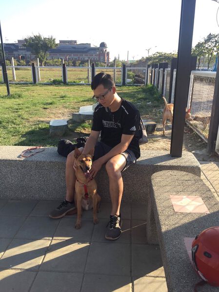 File:Xin-Ping Tian.jpg